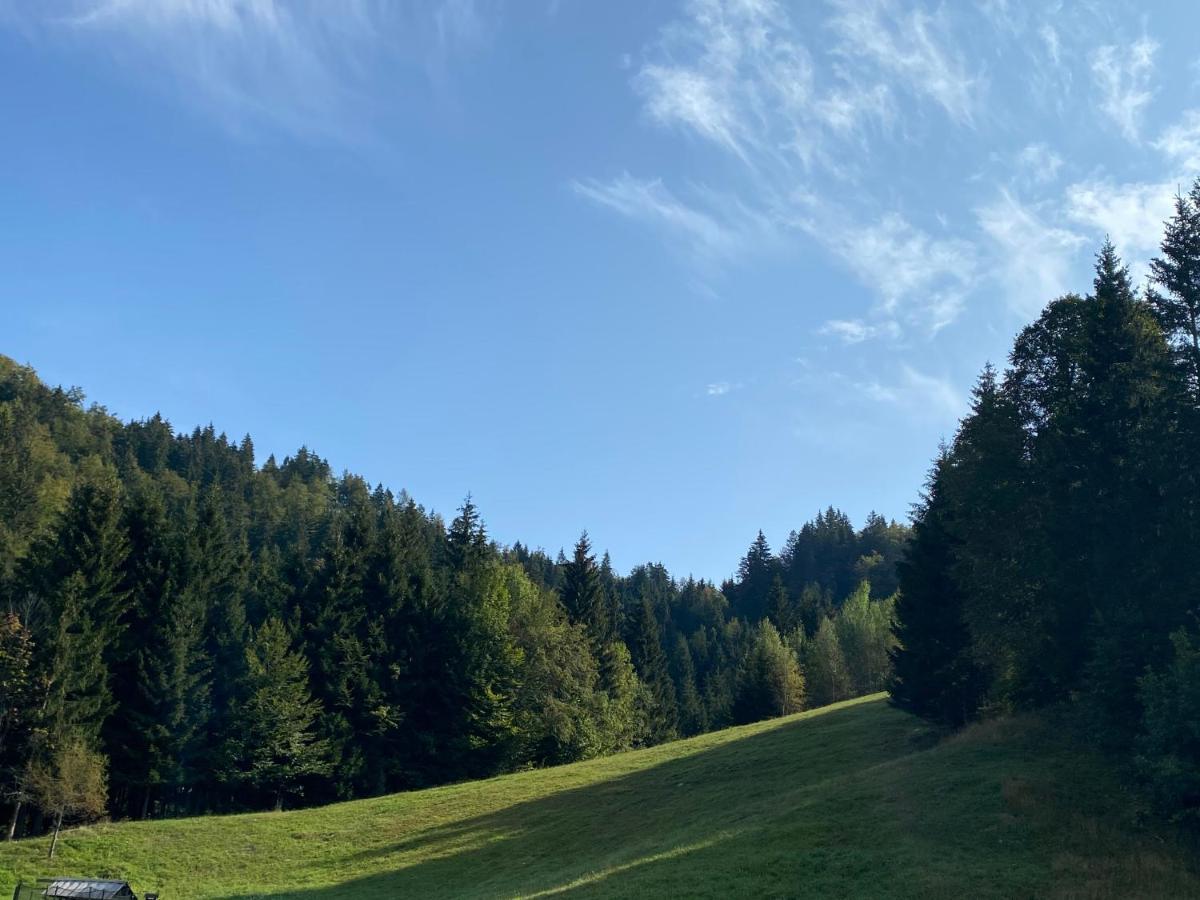 Apartma Jure Zgornje Gorje Luaran gambar