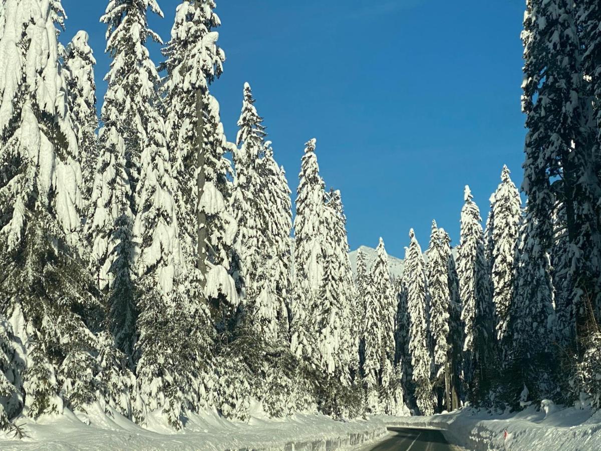 Apartma Jure Zgornje Gorje Luaran gambar