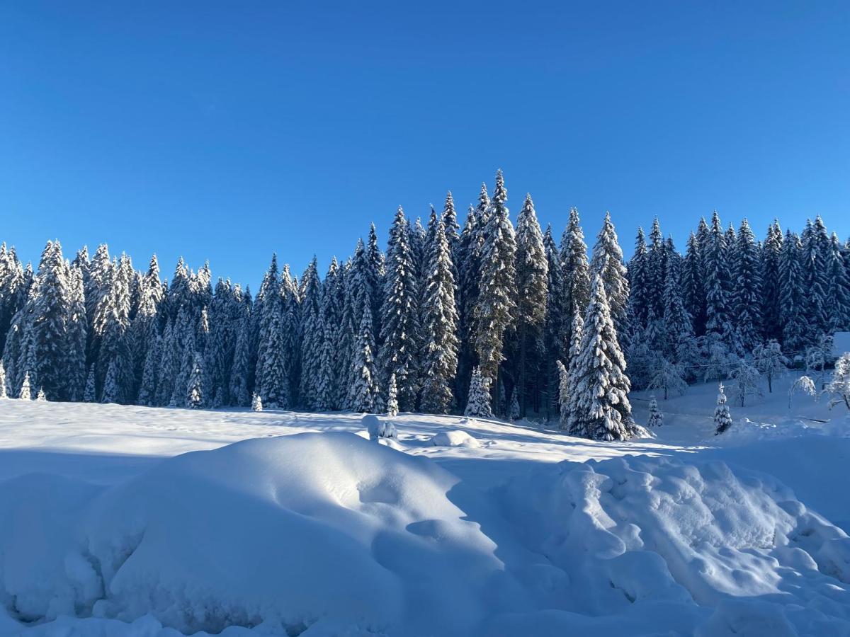 Apartma Jure Zgornje Gorje Luaran gambar
